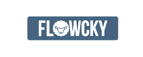 Logo flowcky